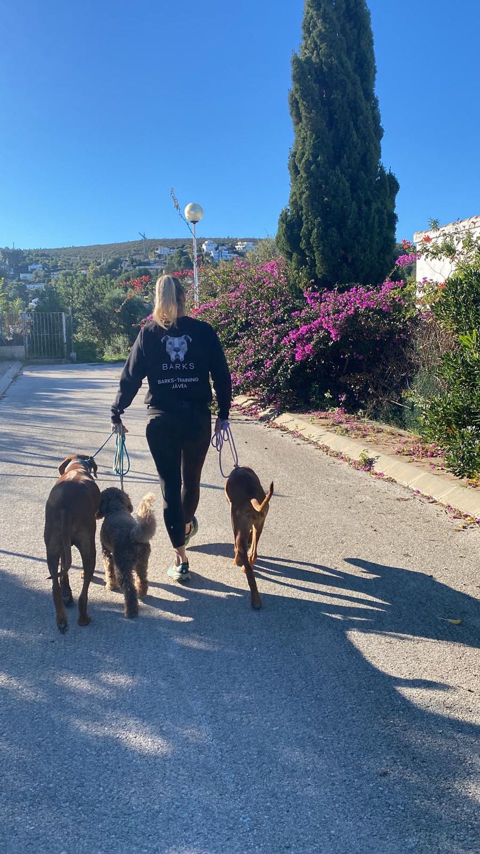 Angelique wandelt met drie honden door de straten van Jávea