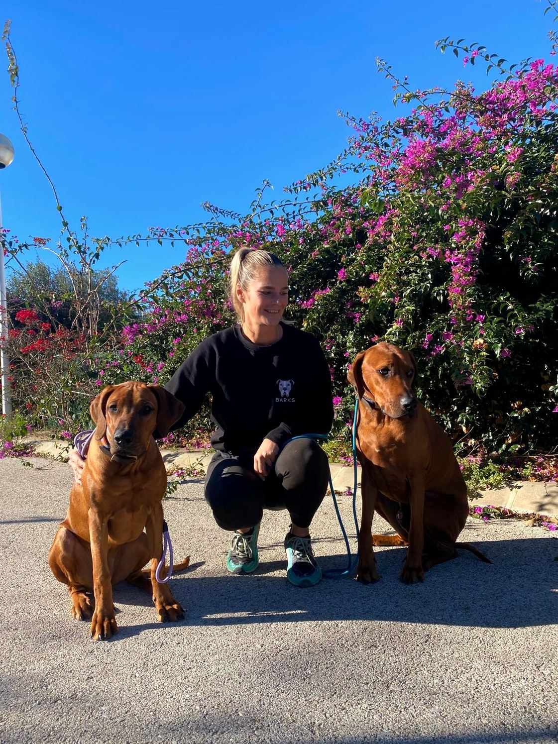 Angelique zit tussen twee Rhodesian ridgebacks die rustig blijven zitten, bij een bougainvillea in Jávea