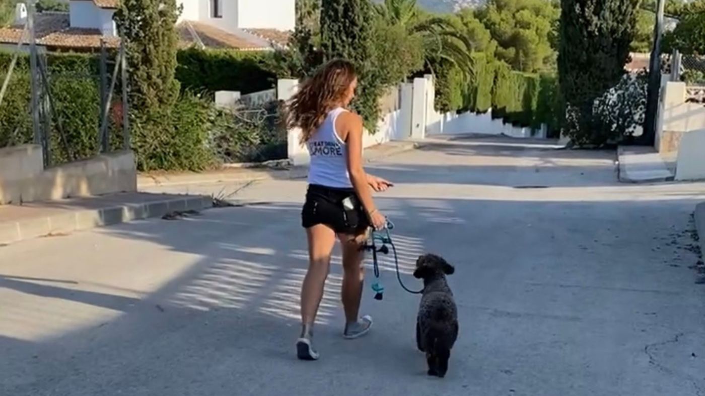 Jonge hond aan de lijn tijdens een wandeling in Jávea